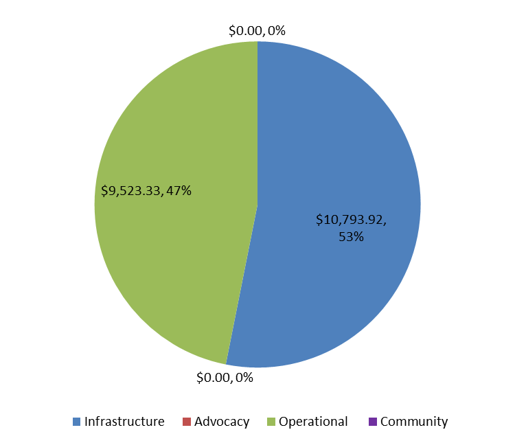 20130131 Expenses.png